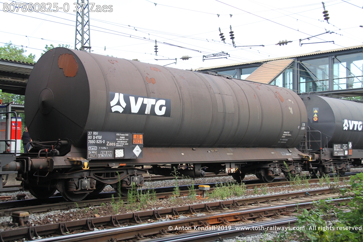 807880825-0_37 Zaes.JPG